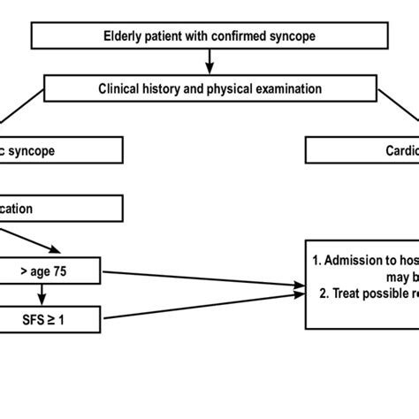 flowchart  investigating syncope  elderly patients sfs san