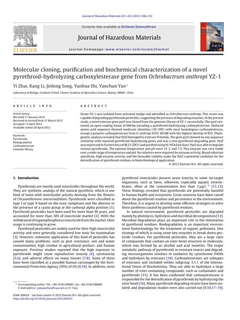 Pdf Molecular Cloning Purification And Biochemical Characterization