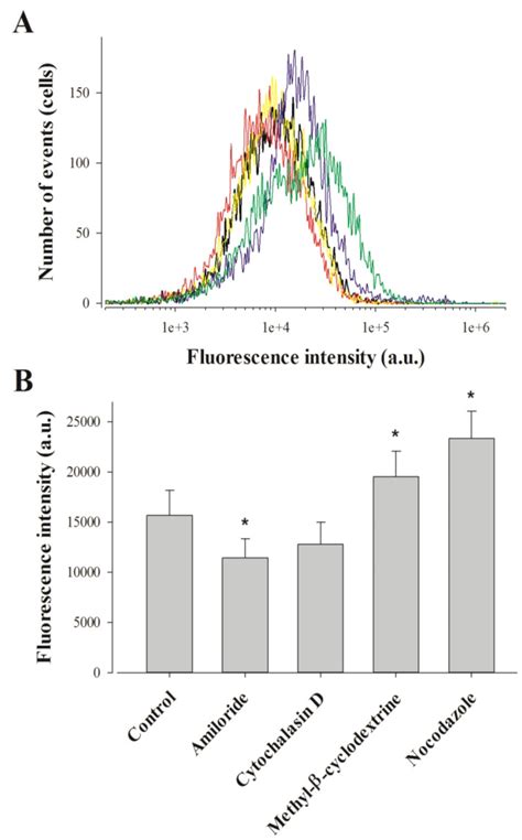 Effect Of Endocytosis Inhibitors On Mcauf Peptide Penetration In F