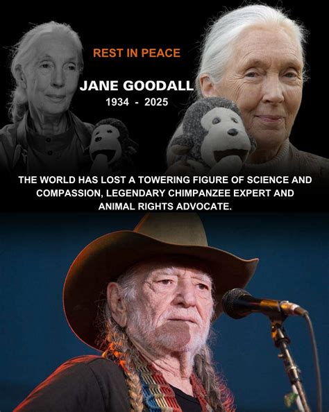 WILLIE NELSON MOURNS A LEGEND: When news broke that Jane Goodall had