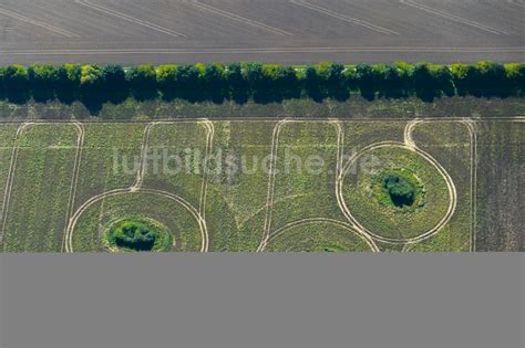 Neuenpleen Aus Der Vogelperspektive Baum Inseln Auf Einem Feld In