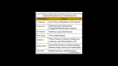 Proteinuria symptoms and treatment #nephrology - YouTube