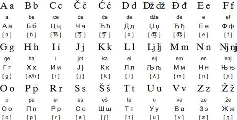 serbian language  alphabet   write  serbian serbian