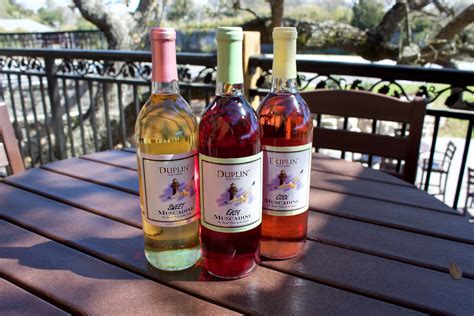 how to make wine with muscadine grapes 11
