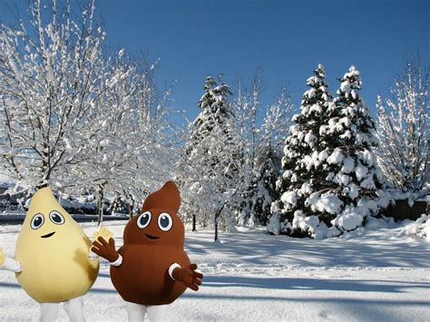 Merry Christmas From Your Official Metro Van Mascots Pee And Poo R