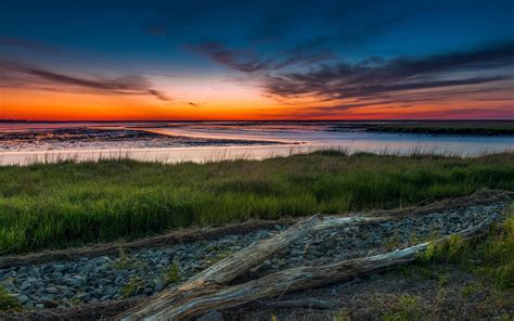 Sunlight Landscape Sunset Sea Flowers Nature Shore Sand