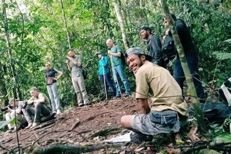 Bukit Lawang Village Tour Sumatra Wilderness