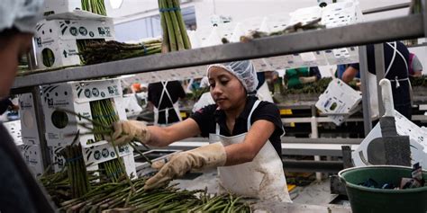 Mexico’s Economic Growth Picked Up in Third Quarter - WSJ