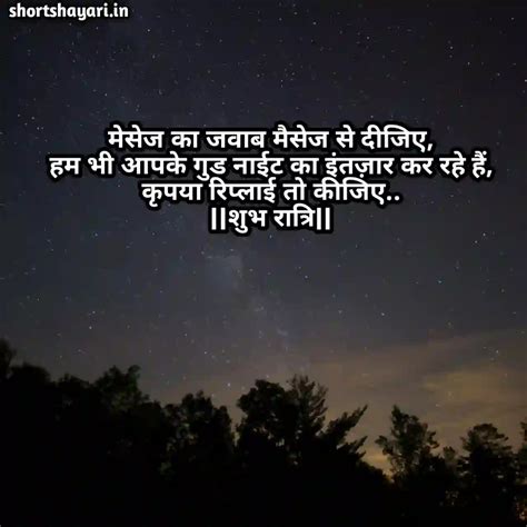 Best Plus Good Night Shayari In Hindi