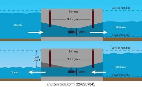 Tidal Energy Production On Barrage Diagram Stock Vector (Royalty Free ...