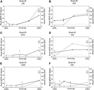 Frontiers Genomic Epidemiology Of Mycobacterium Avium Subsp