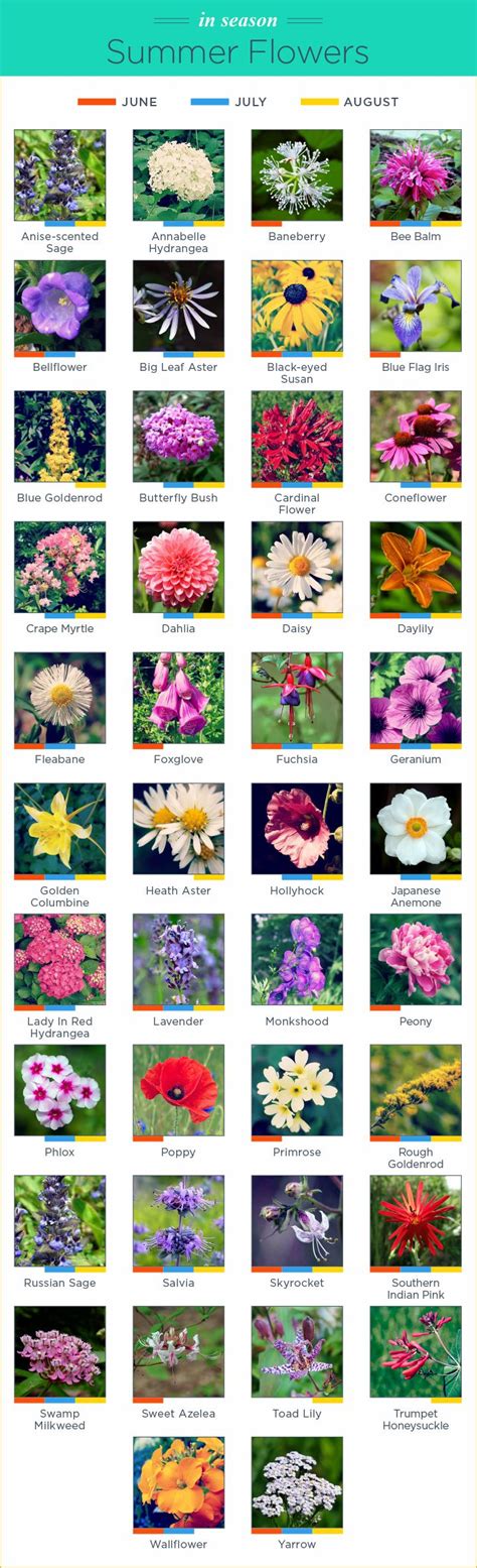 What Flowers Are In Season? - FTD.com | Flowers perennials, Summer flowers garden, Flower garden ...