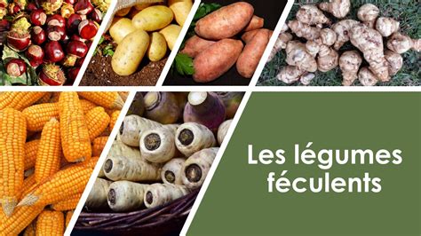 Quels sont les légumes féculents Recettes100faim