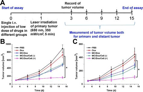 In Vivo Antitumor Efficacy Of Different Nano Formulations For 4T1