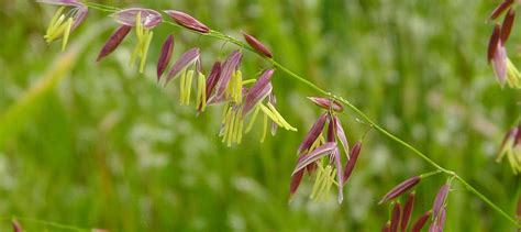 Places Worth Protecting The Nabish Wetland Complex Ontario Nature