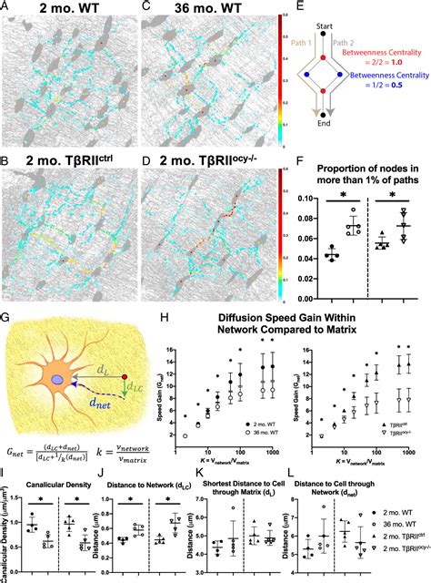 Figure From Disrupted Osteocyte Connectivity And Pericellular Fluid