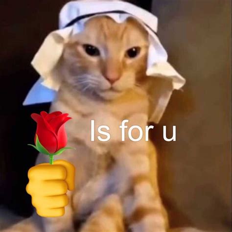 An Orange Cat Wearing A White Dress And Holding A Red Rose In Its Hand