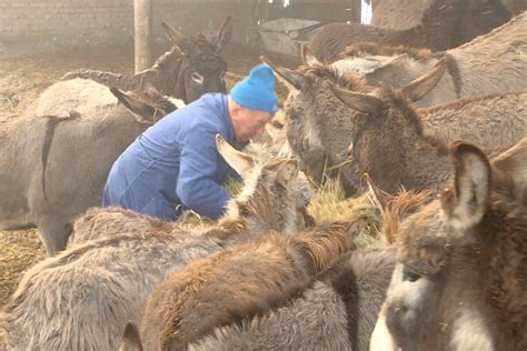 Pucali Su Na Mene Pretili Svima Sto Ar Iz Kovilja Eka Spasavanje