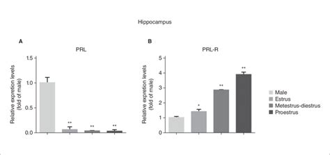Sex Differences And Changes During Estrous Cycle In The Expression Of