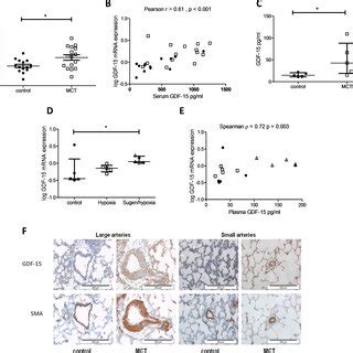 Downstream Targets Of Growth Differentiation Factor Gdf Are