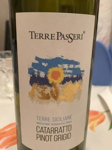 Terre Passeri Catarratto Pinot Grigio Vivino Us