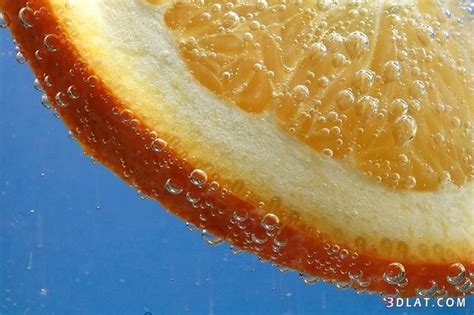 صور فواكه للتصميم خلفيات فواكه للتصميم | Orange, Photography gallery, Fruit