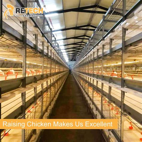 H Type Broiler Chicken Cage With Automatic Poultry Farm Equipment