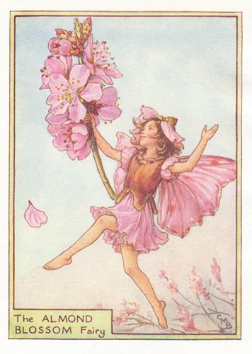 Uk Buy Genuine Antique Flower Fairy Prints