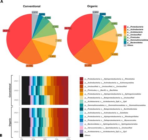 Distribution Of The 8 Most Abundant Prokaryotic Phyla A And