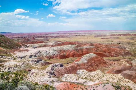 Petrified National Park Self Guided Driving Discovery Tour Getyourguide