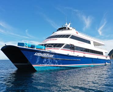 Catalina Island Ferry - Information and Tours