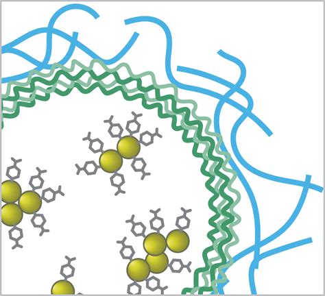 SERS Biosensors | Fluorescence-Based BiosensorsWasatch Photonics