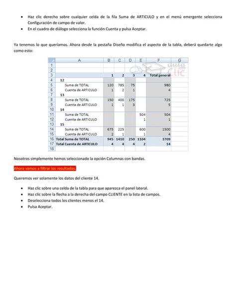 Filtrado De Tablas Dinamicas Y Graficos Dinamicos En Excel 2007 PDF