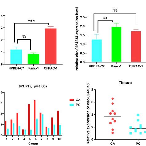 Relative Circrna Expression Levels In Pdac Cells And Tissues A