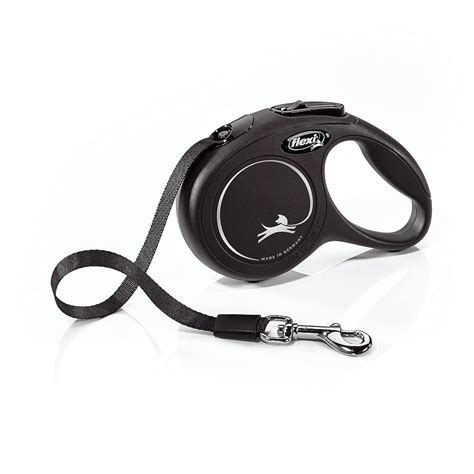 11 Best Retractable Dog Leashes