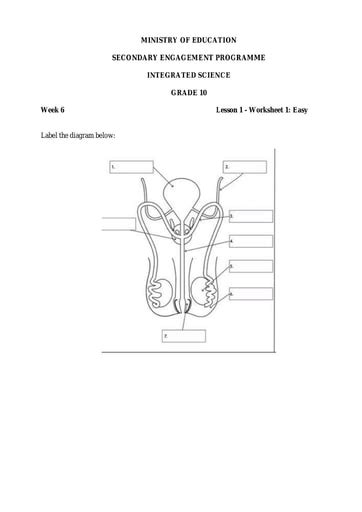 Grade 10 Integrated Science Week 6 Lesson 1 Worksheet 1 And Answer Sheet