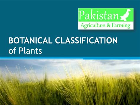 Botanical Classification of Plants