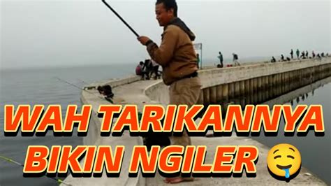 Serunya Mancing Bareng Di Dam Hijau Muara Baru Bahagianya Ga Ada Yang