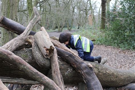 Nursery And Reception Explore In The Woods Norfolk House School London