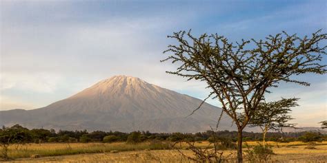 arusha luxury safaris tanzania towns cities yellow zebra safaris