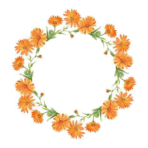 Premium Photo Round Frame Of Marigold Watercolor