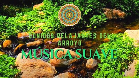 Disfrutar De Los Hermosos Sonidos De La Naturaleza Y M Sica Muy Suave