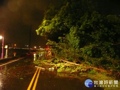 颱風來襲路樹倒塌壓毀車輛 霧峰警急救援 風傳媒