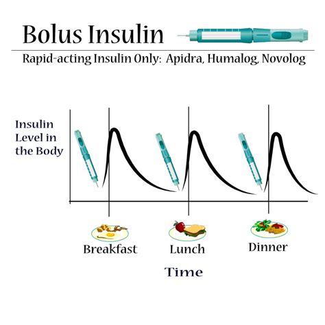 How Does Insulin Work? – T1D Toolkit