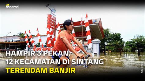 Hampir 3 Pekan 12 Kecamatan Di Sintang Kalbar Terendam Banjir Narasi TV