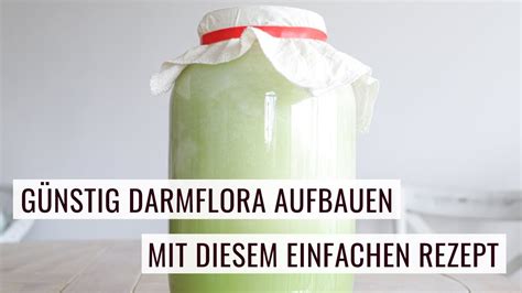 Günstig Darmflora aufbauen mit diesem einfachen Rezept YouTube