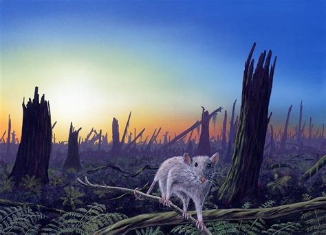 Cretaceous-tertiary Extinction Event Photograph by Richard Bizley