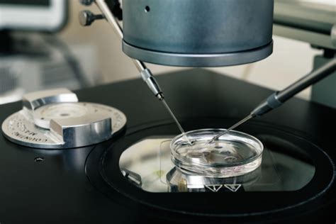 IVF And Genetic Testing Options Tests Performed On Embryos