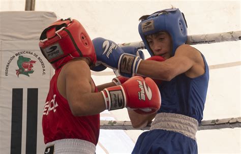 Campeonato Nacional Junior De Boxeo Federaci N Mexicana De