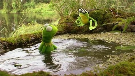 Kermits Swamp Years 2002